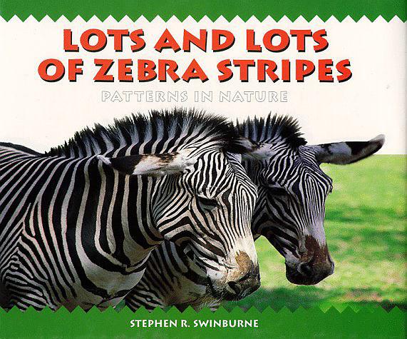 Lots and Lots of Zebra Stripes