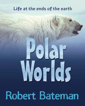 Polar Worlds