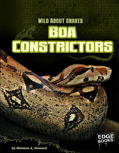 Boa Constrictors