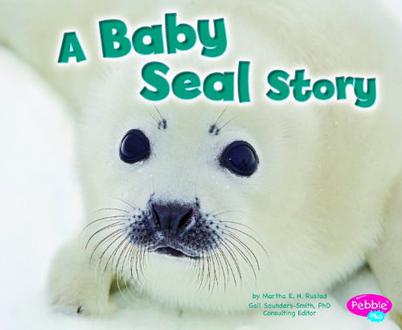 Baby Seal Story