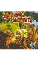 Animal Habitats