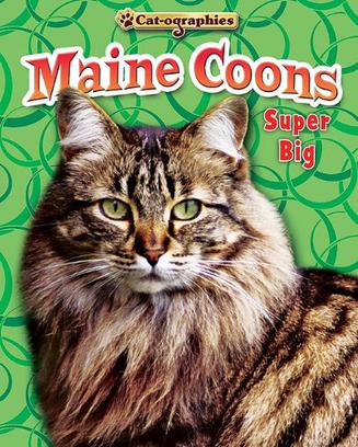 Maine Coons