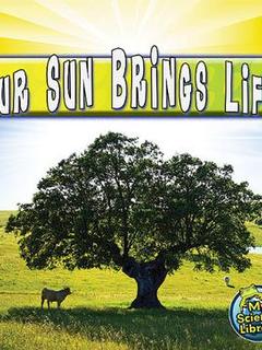 Our Sun Brings Life
