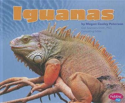 Iguanas