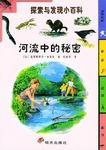 河流中的秘密