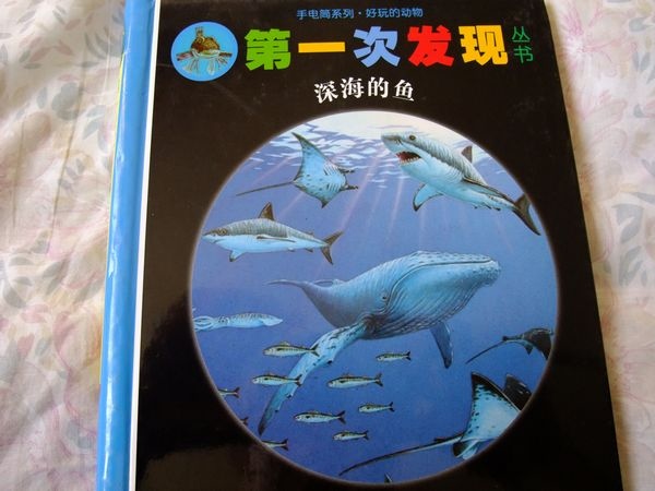 手電筒系列叢書