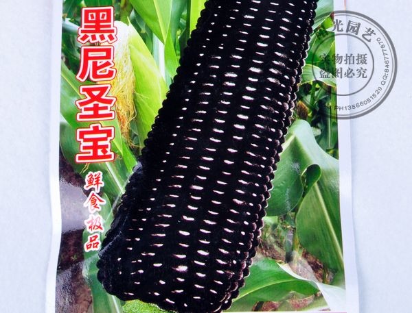 買了很多玉米種子