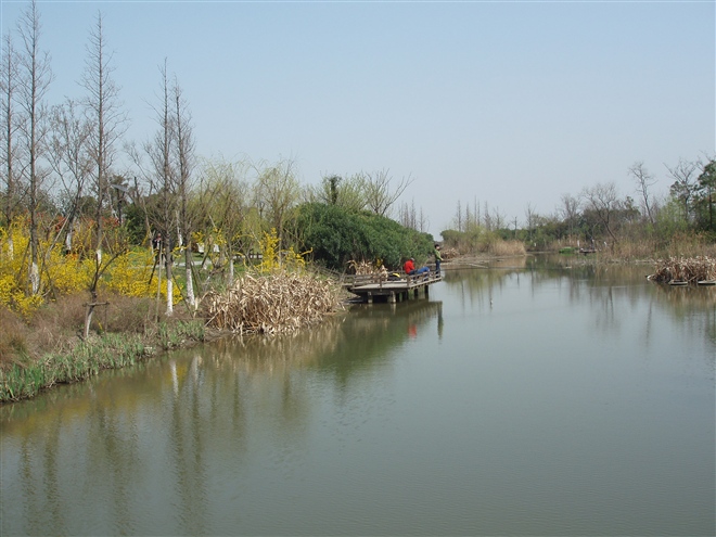 吳淞炮臺(tái)濕地公園