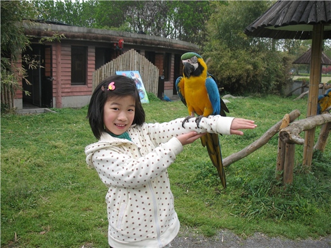 春游野生動(dòng)物園