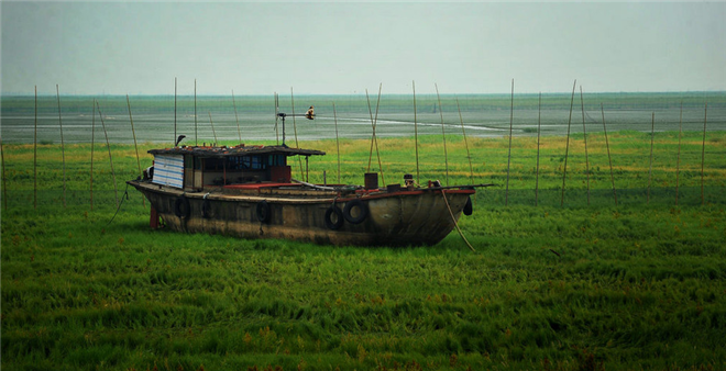 鄱陽(yáng)湖水干了，開(kāi)