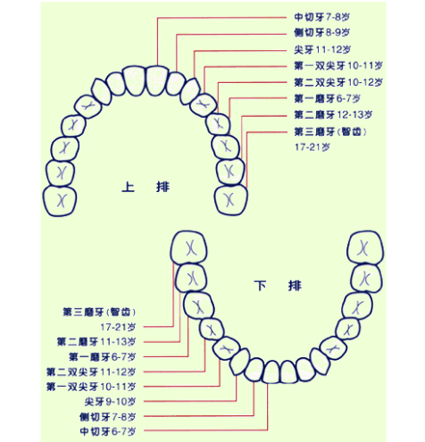 去靜安公園檢查牙