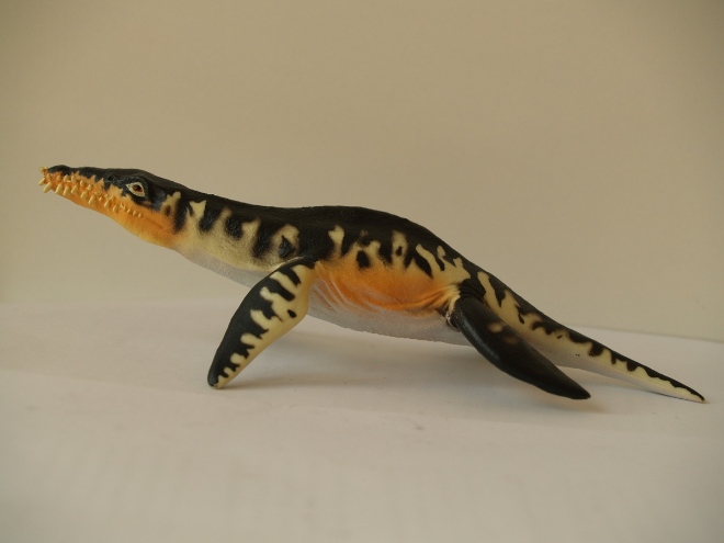 Liopleurodon 滑