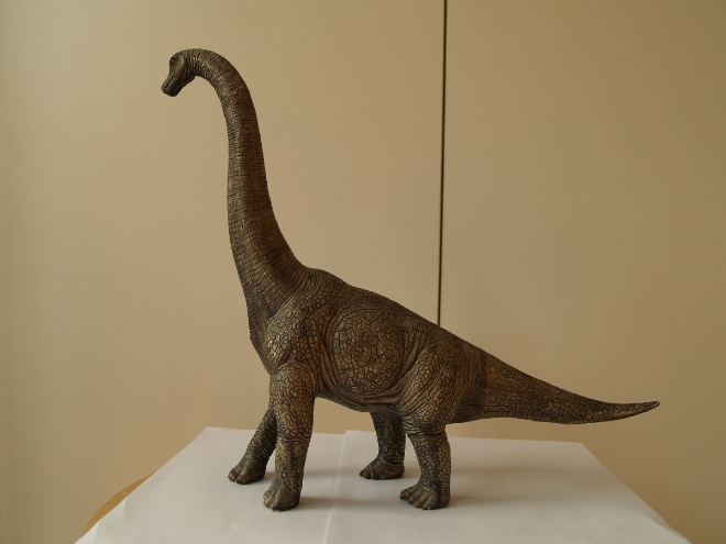 Brachiosaurus 腕
