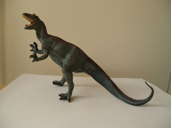 Allosaurus 異<fo