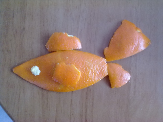 橙皮小魚