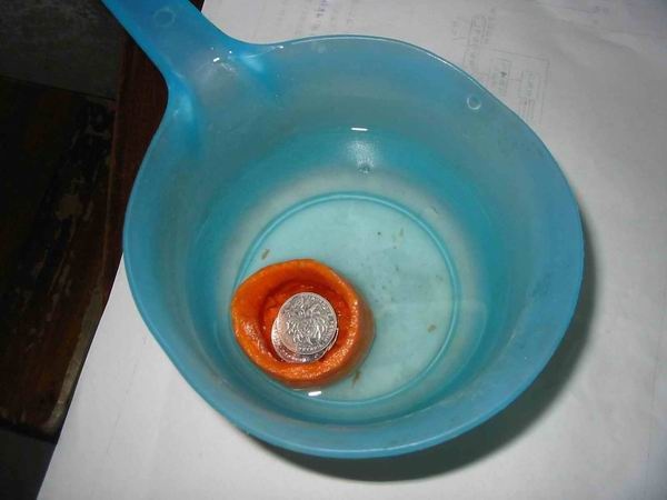 科學(xué)小實(shí)驗(yàn)：胡蘿