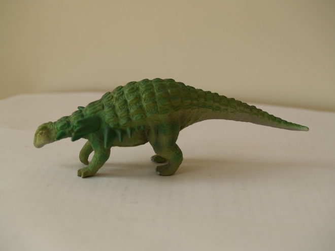 Edmontonia 埃德