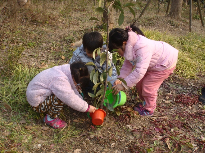 植樹
