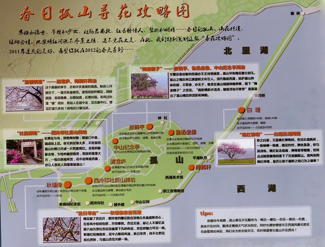 早春杭州孤山尋花