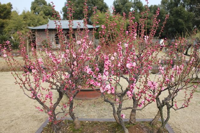 春游世紀(jì)公園