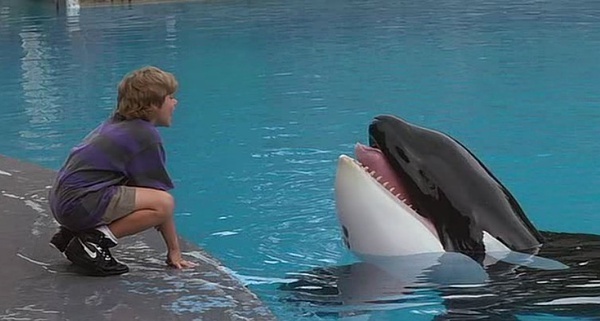 Free Willy 人魚