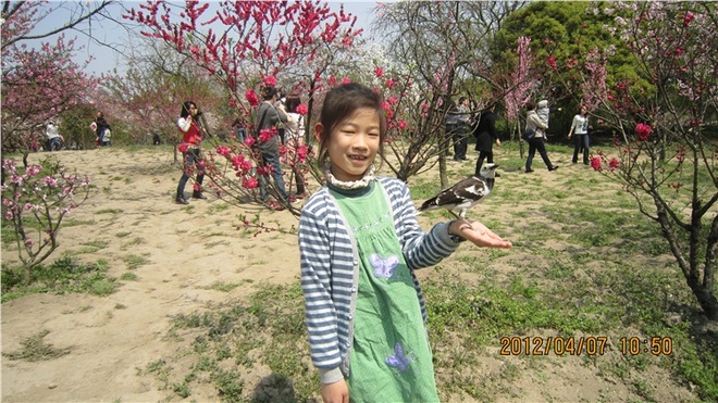 春游<font color=