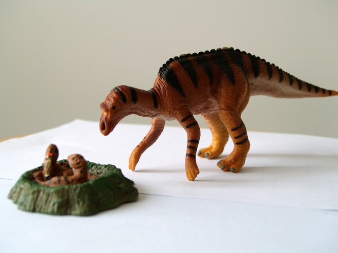 Maiasaura 慈母龍