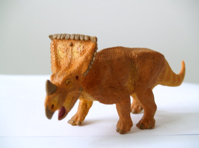 Vagaceratops 華