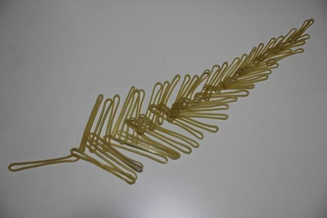 橡筋羽毛