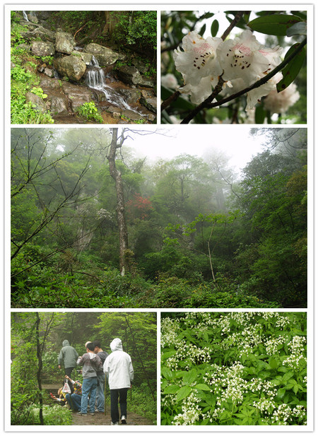 五一天目山農(nóng)家樂