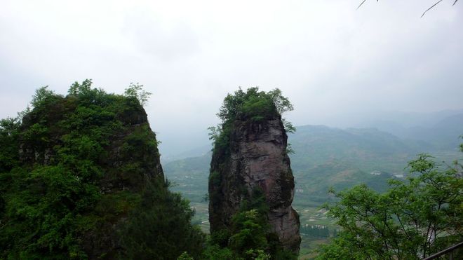 屋頂上的花兒——