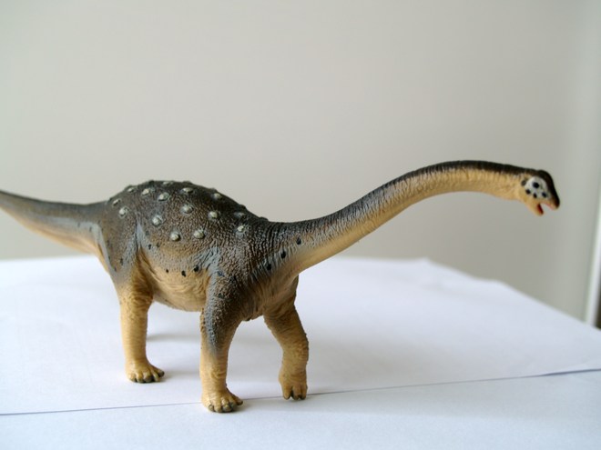 saltasaurus 萨尔塔龙 -- 长着京剧小丑脸的龙 - 小花生