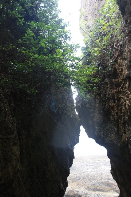 7月6日國(guó)際接吻日