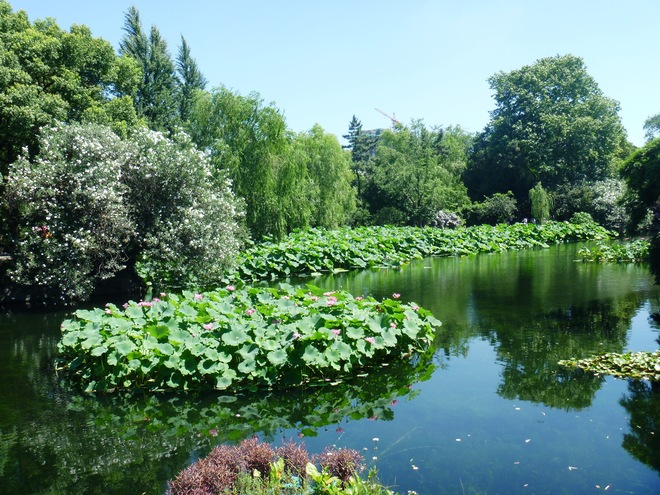 這個(gè)夏季去古漪園