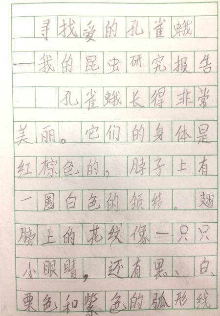 尋找愛(ài)的孔雀蛾--