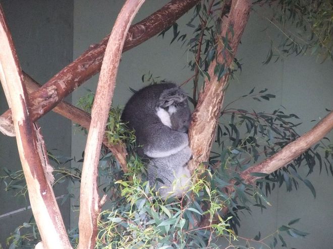 動物園