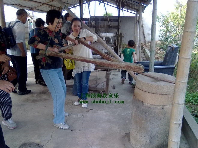 上海近郊農家樂哪