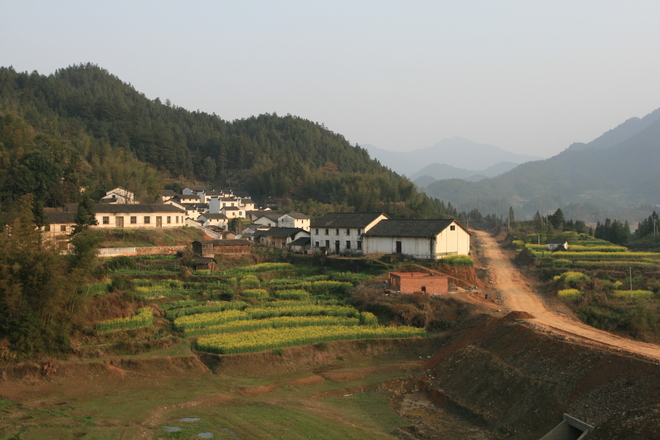 0703-滿山遍野油
