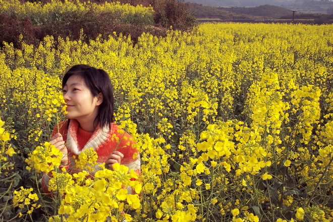 0703-滿山遍野油