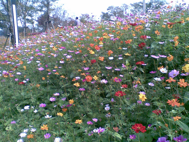 后灘公園閑逛