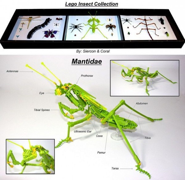 酷設(shè)計(jì)：樂高昆蟲