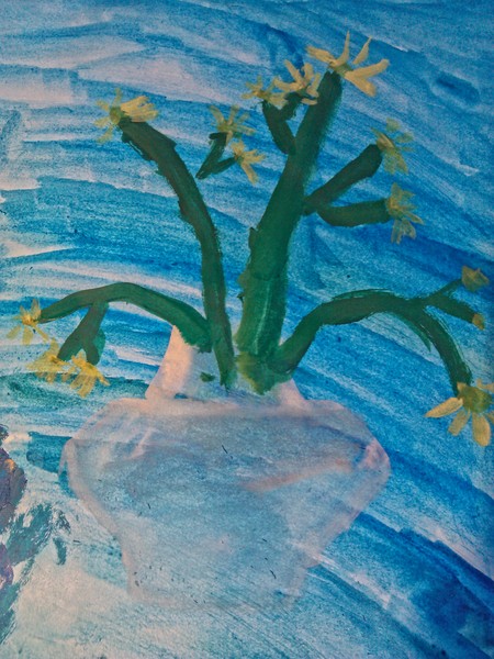 Narcissus