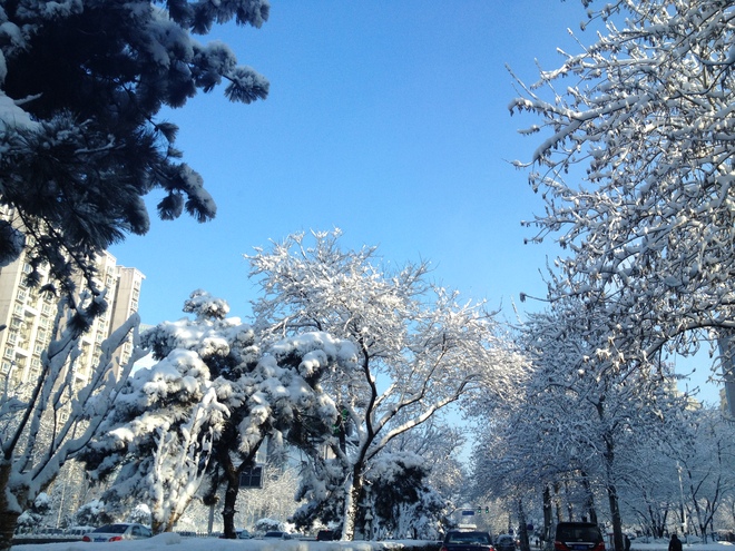 冰天雪地也要去美
