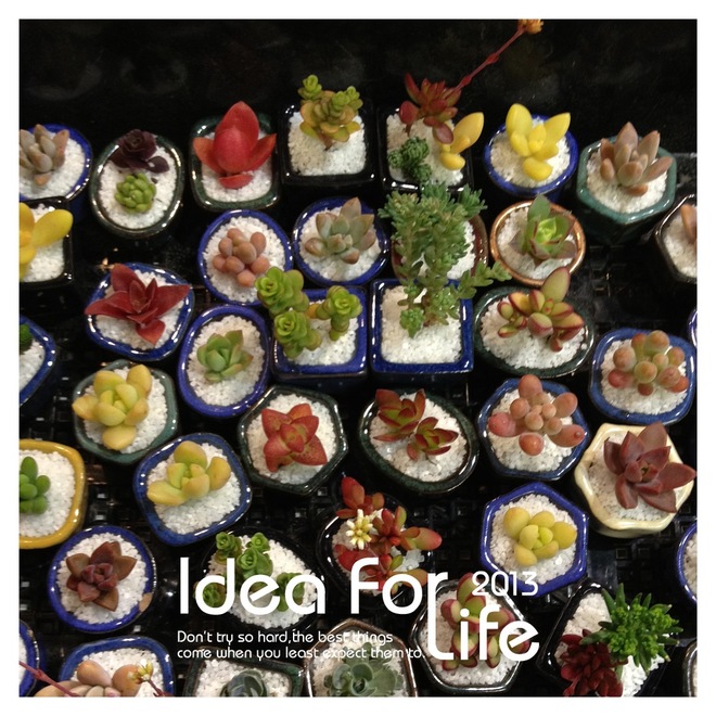 2013國際花卉展