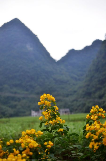 貴州，我們曾來過