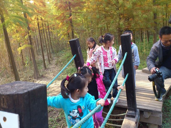 11/16-11/17（小
