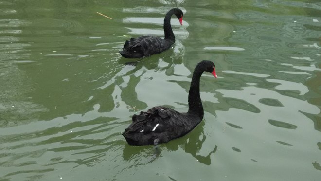 徐匯公園