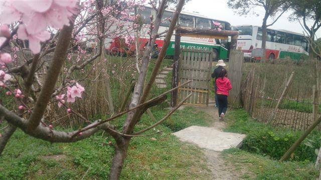 2016年3月19日  