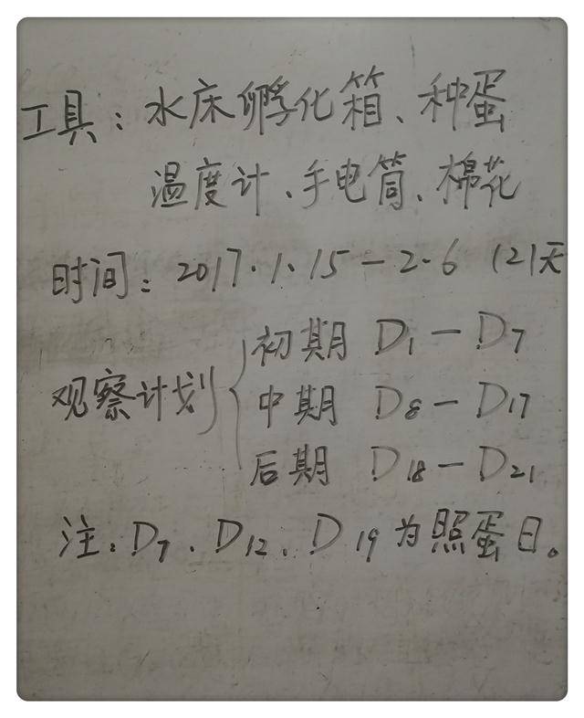 如何寫觀察<font 