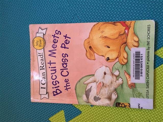 I Can Read: Bisc